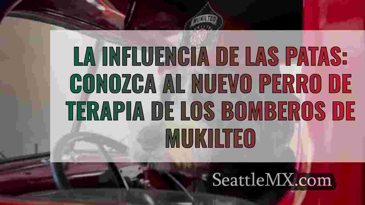 La influencia de las patas: Conozca al