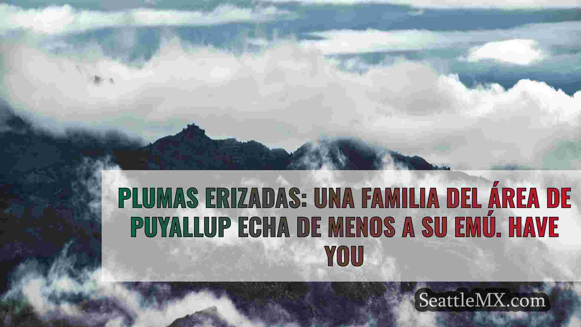Noticias de Seattle SeattleMX