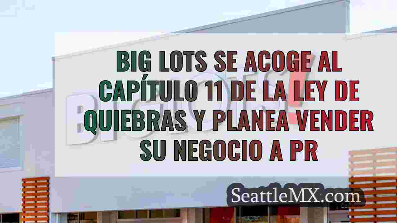 Big Lots se acoge al Capítulo 11 de la
