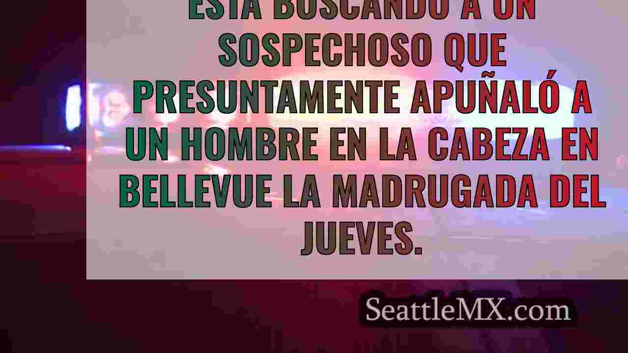 La policía busca al sospechoso de