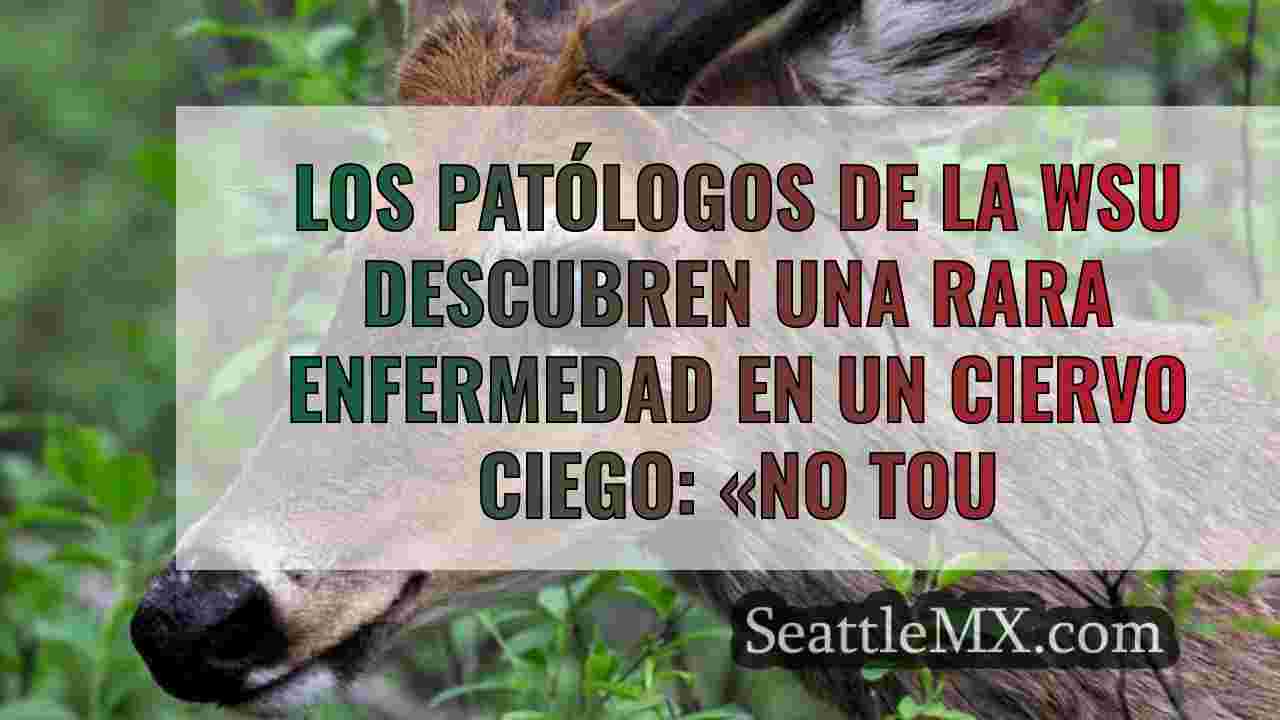 Patólogos de la WSU descubren una rara