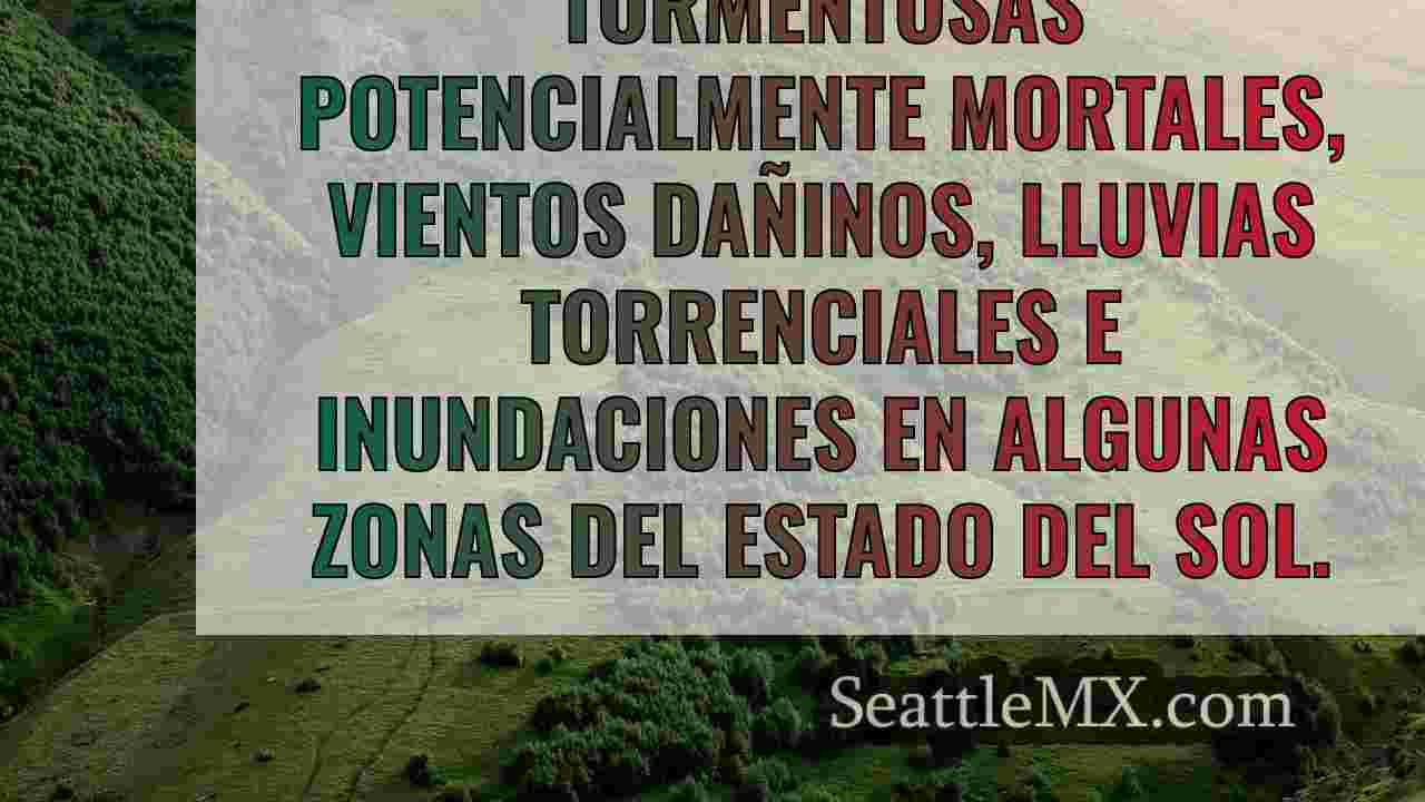 Noticias de Seattle SeattleMX