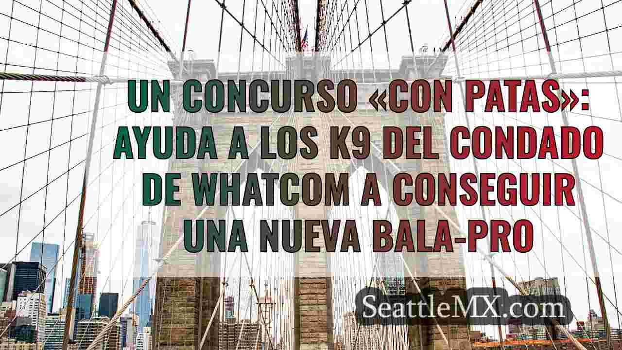 Noticias de Seattle SeattleMX