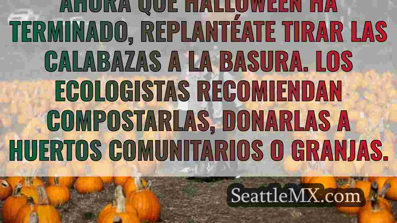 Los mejores huertos de calabazas y