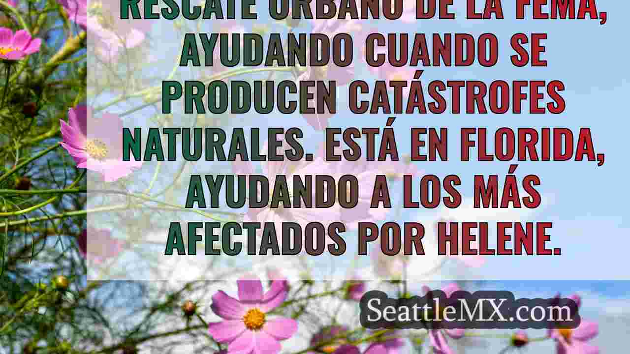 Noticias de Seattle SeattleMX