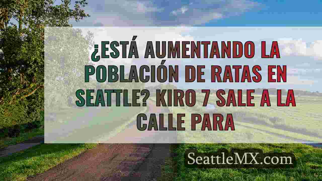 ¿Está aumentando la población de ratas