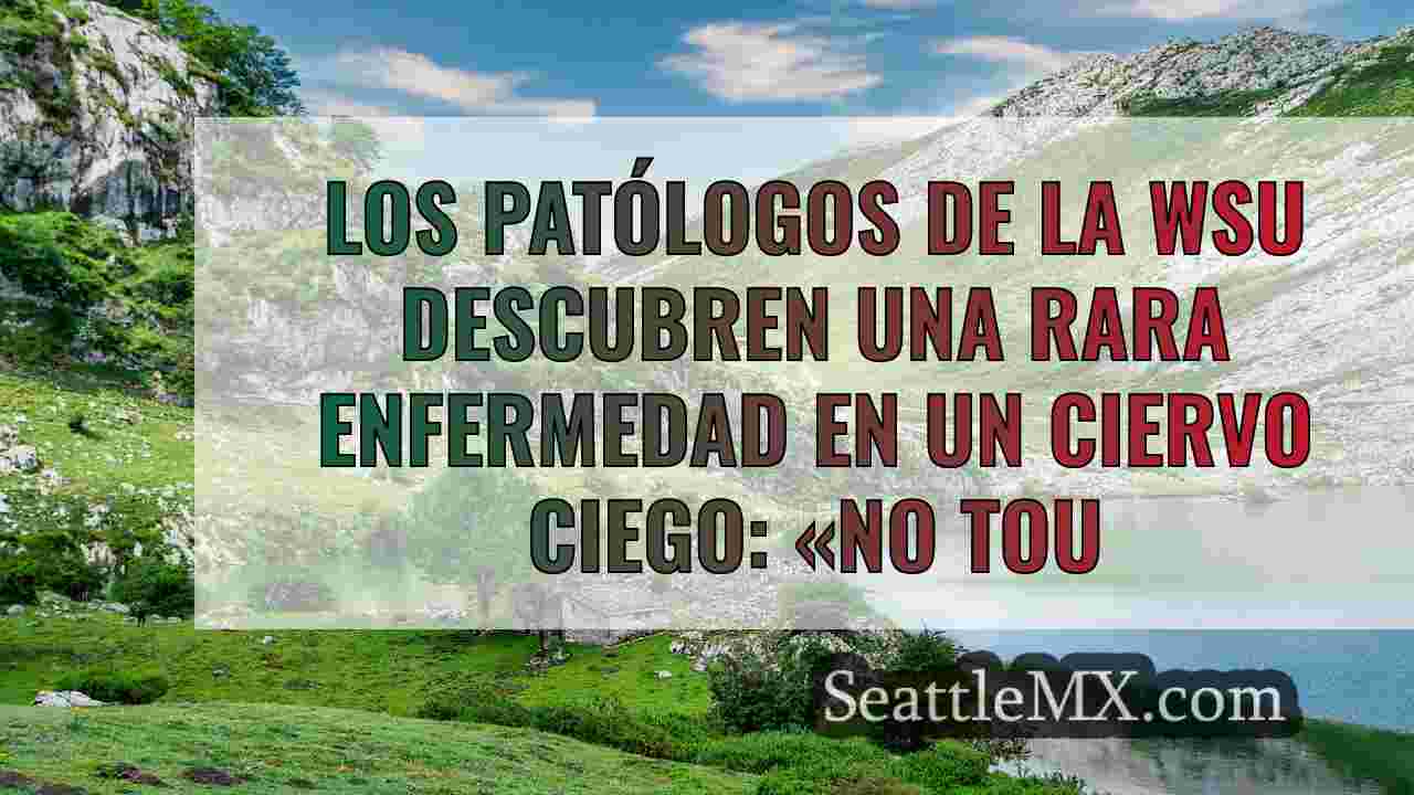 Noticias de Seattle SeattleMX