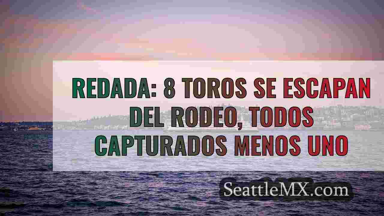 Noticias de Seattle SeattleMX