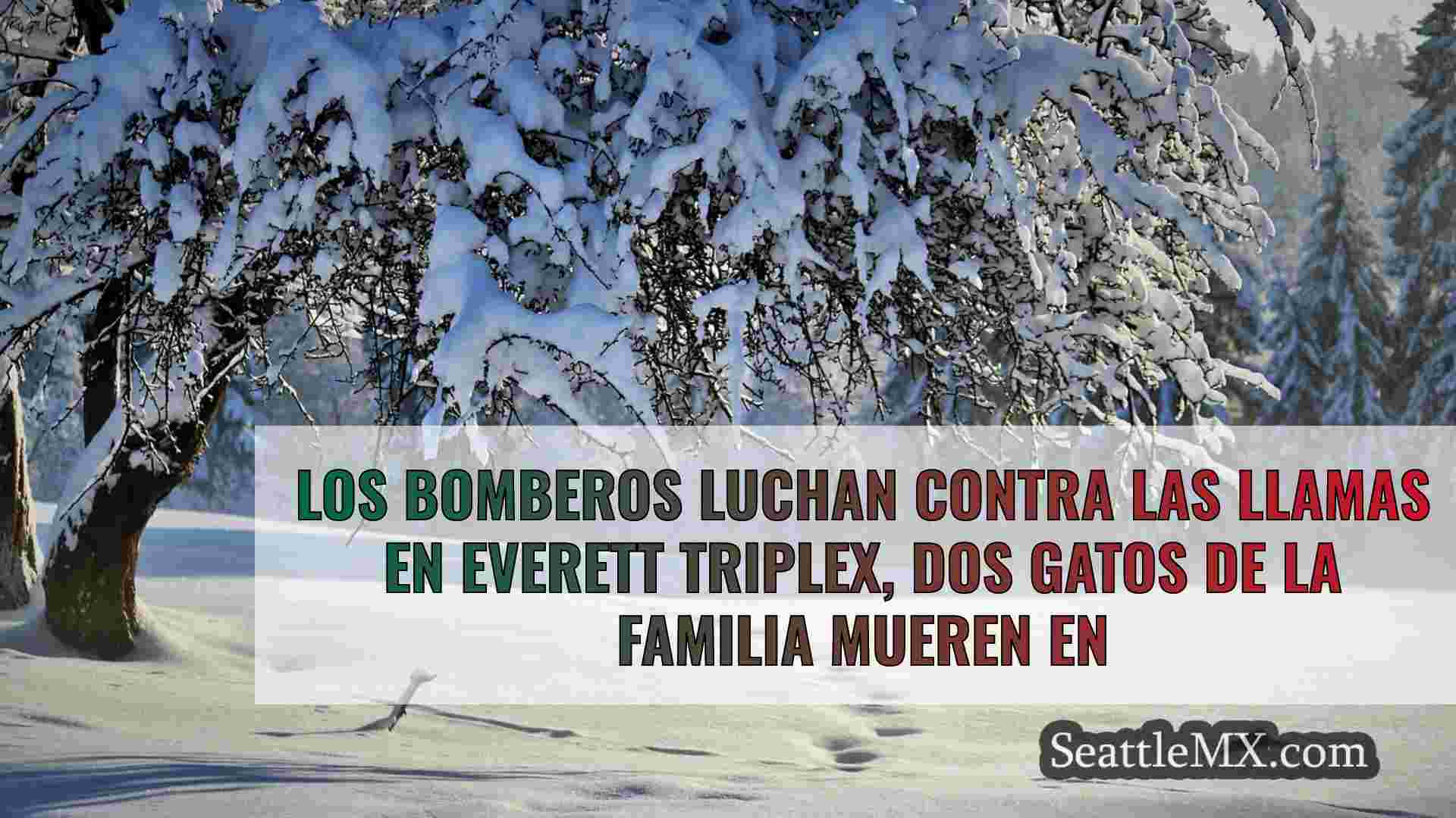 Noticias de Seattle SeattleMX