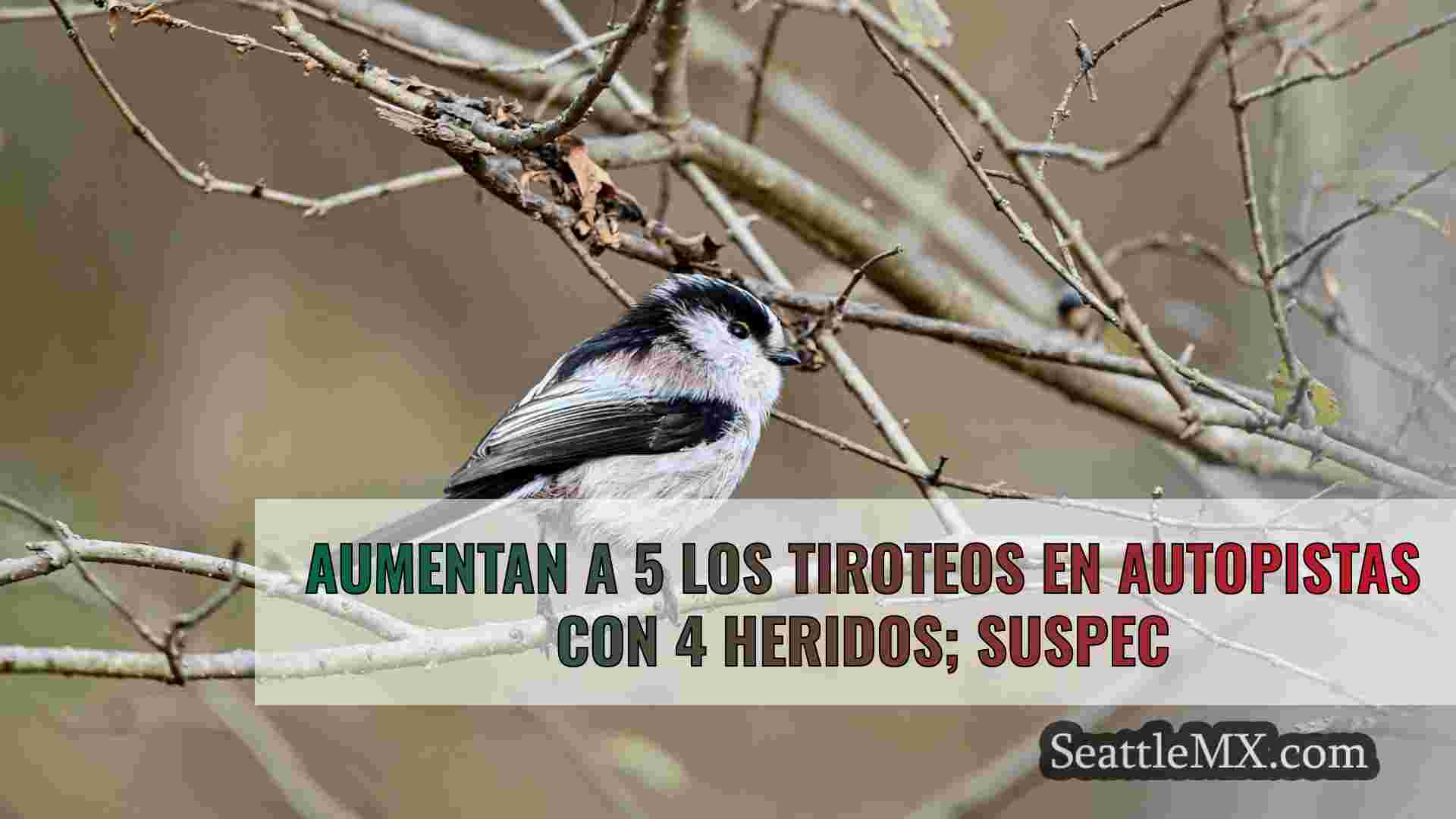 Noticias de Seattle SeattleMX