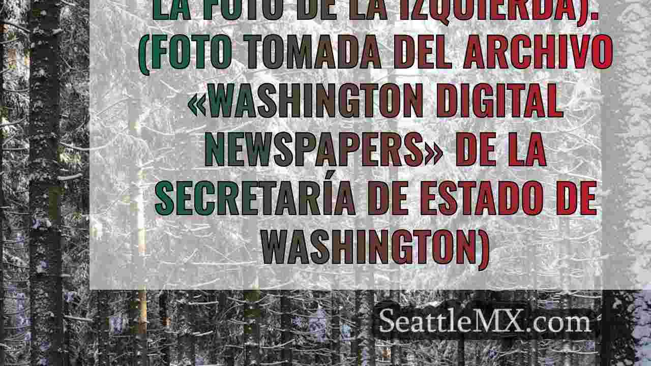 Noticias de Seattle SeattleMX