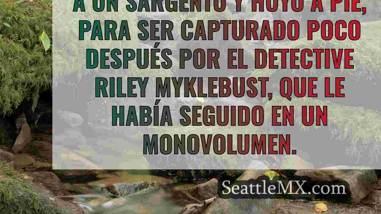 Noticias de Seattle SeattleMX