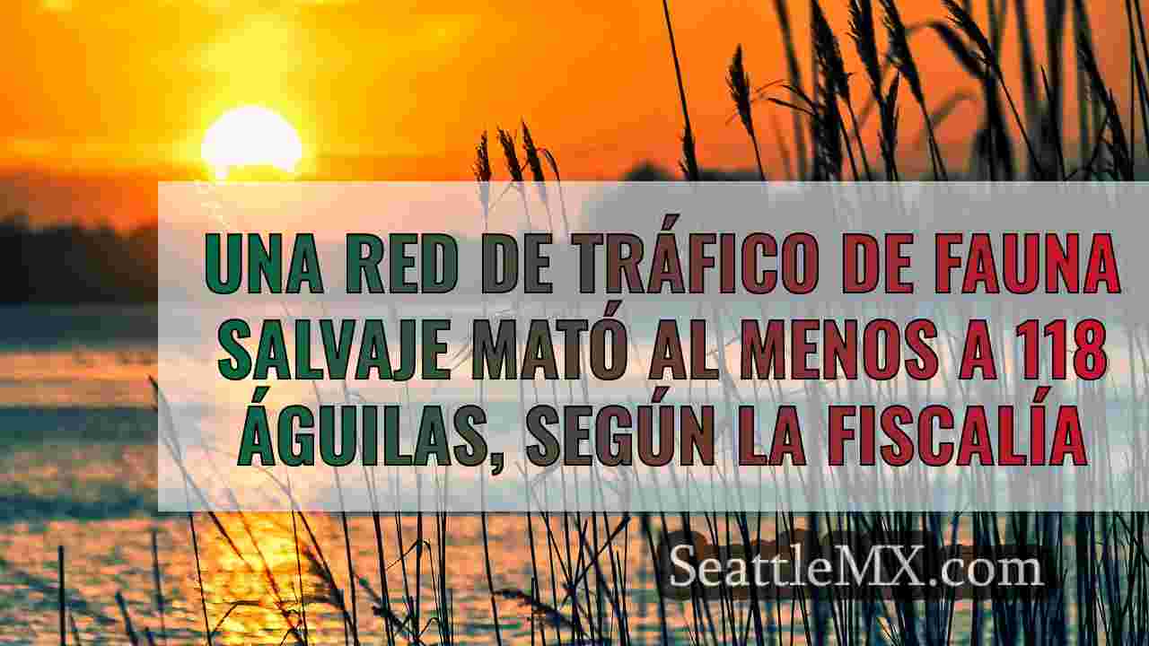 Noticias de Seattle SeattleMX