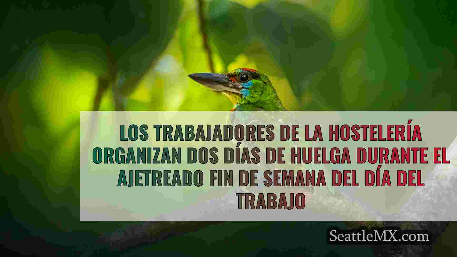 Noticias de Seattle SeattleMX