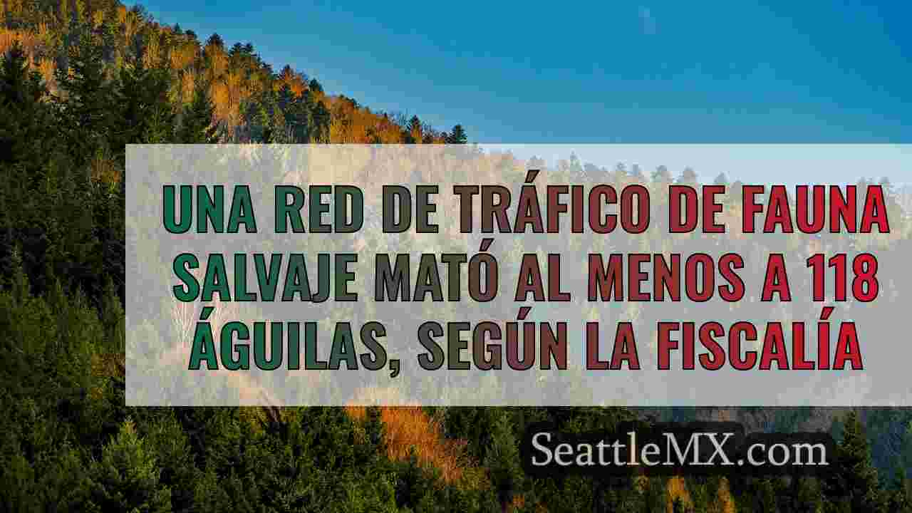 Noticias de Seattle SeattleMX