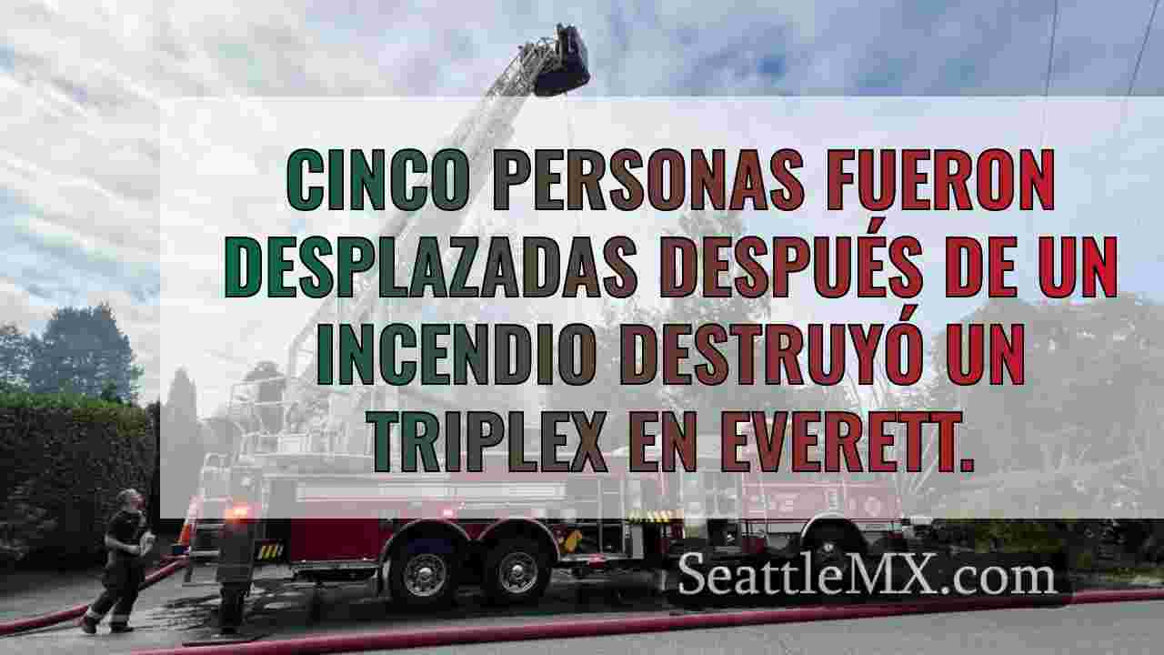 5 desplazados y 2 gatos muertos en el