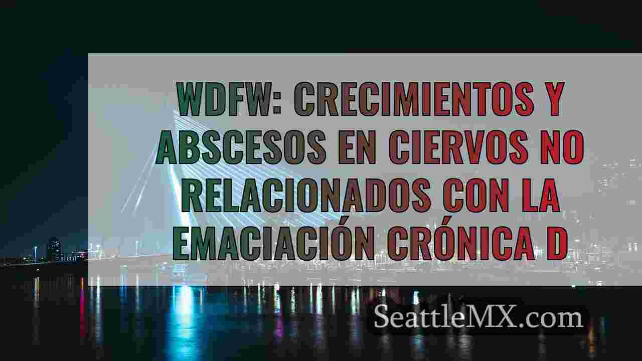 Noticias de Seattle SeattleMX