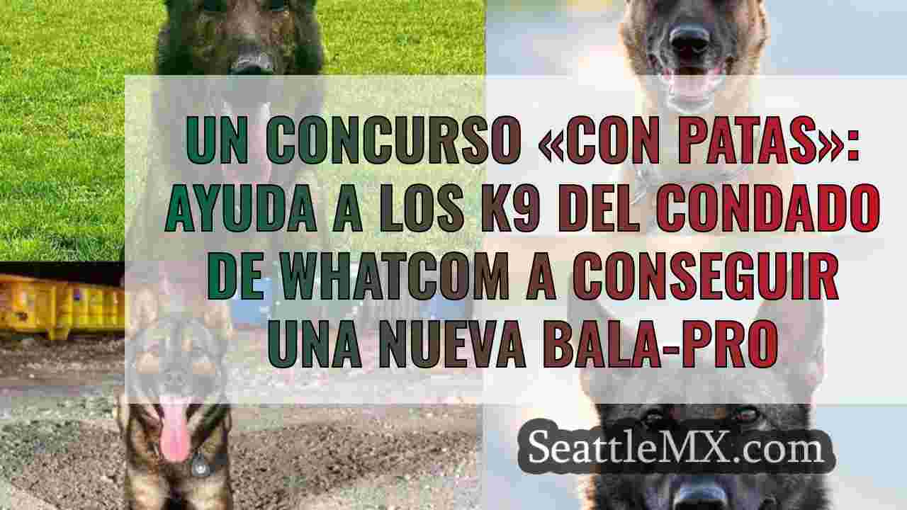 Un concurso «con patas»: ayuda a los K9