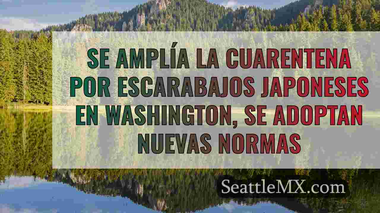 Noticias de Seattle SeattleMX