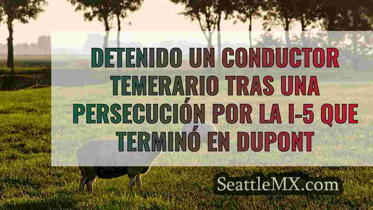 Noticias de Seattle SeattleMX