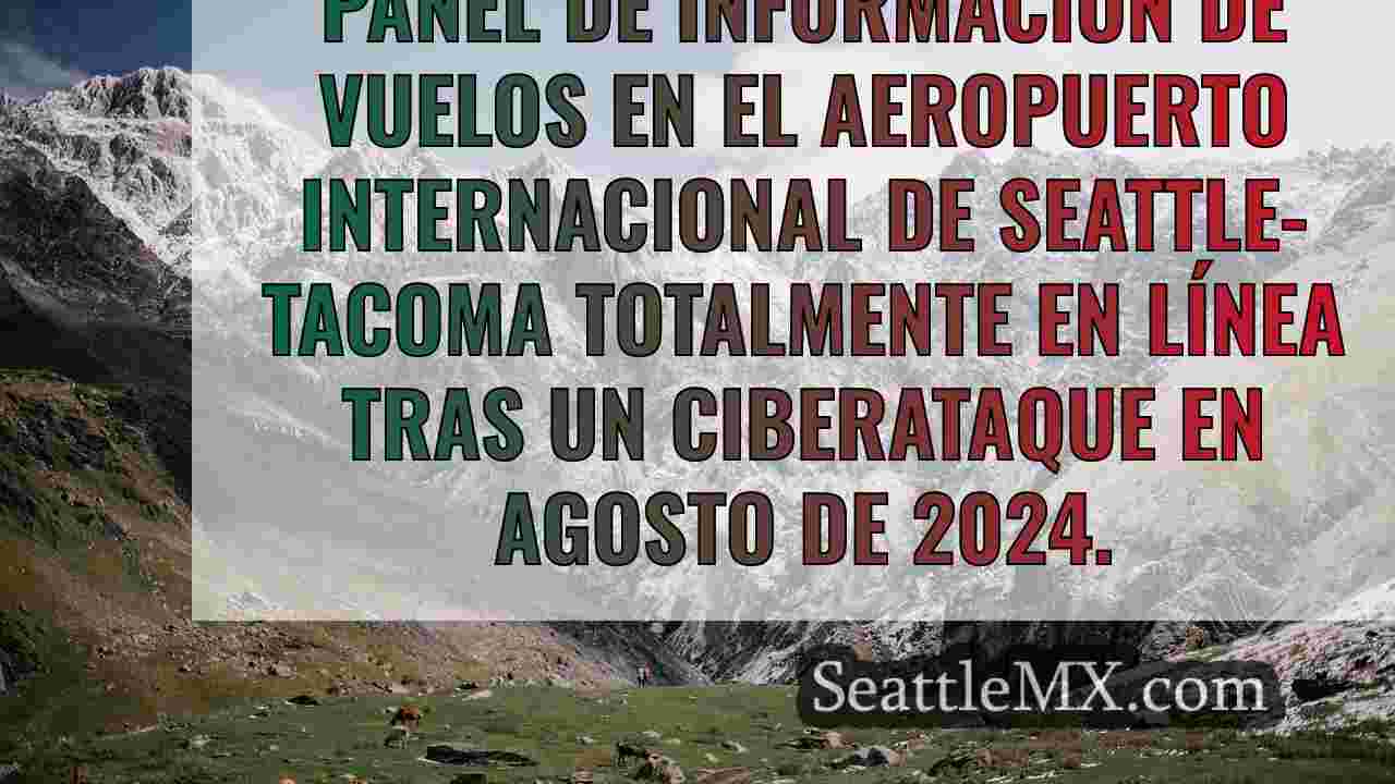 Las pantallas de información del