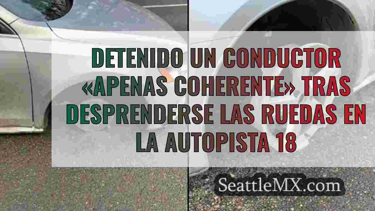 Detenido un conductor «apenas