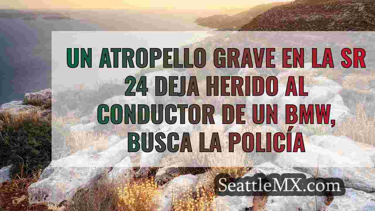 Noticias de Seattle SeattleMX