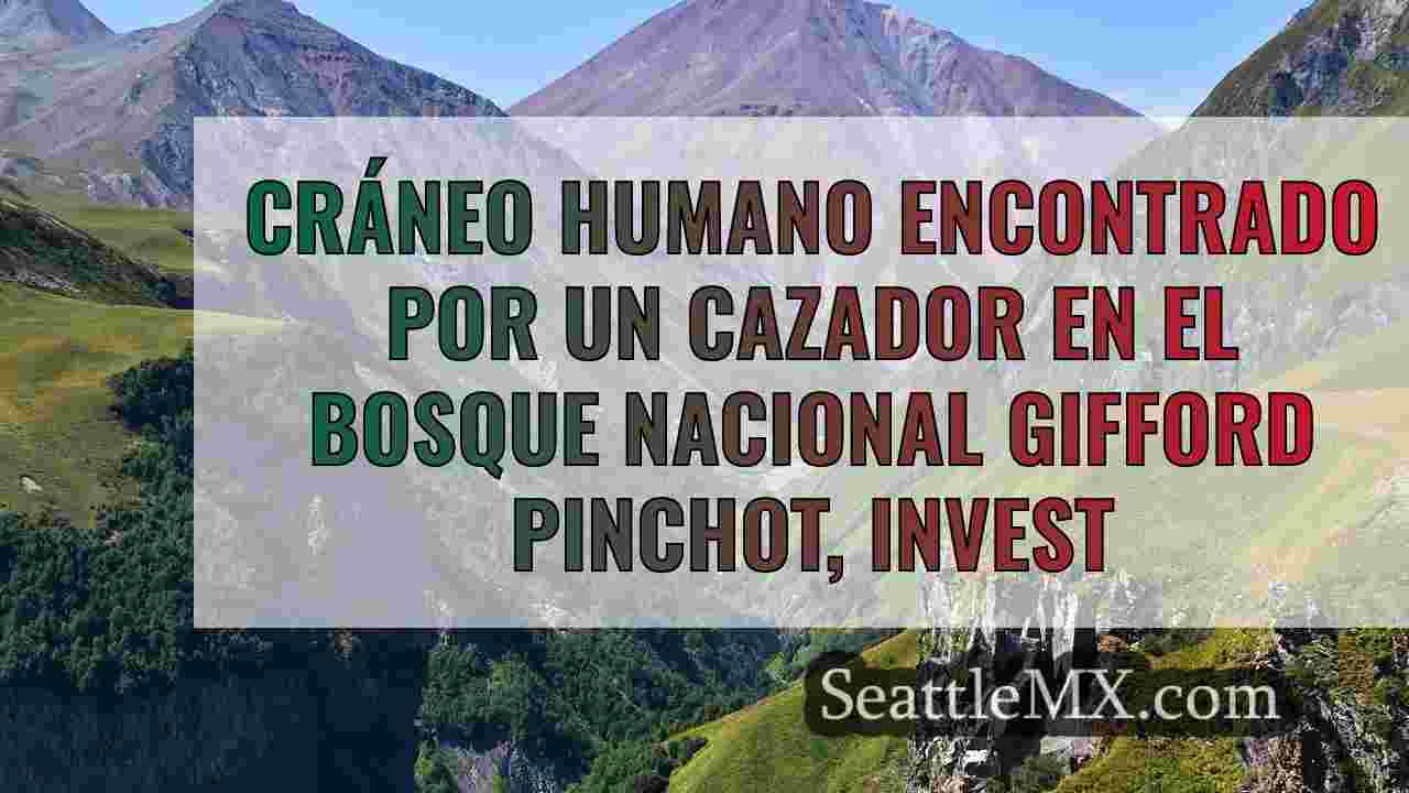 Noticias de Seattle SeattleMX
