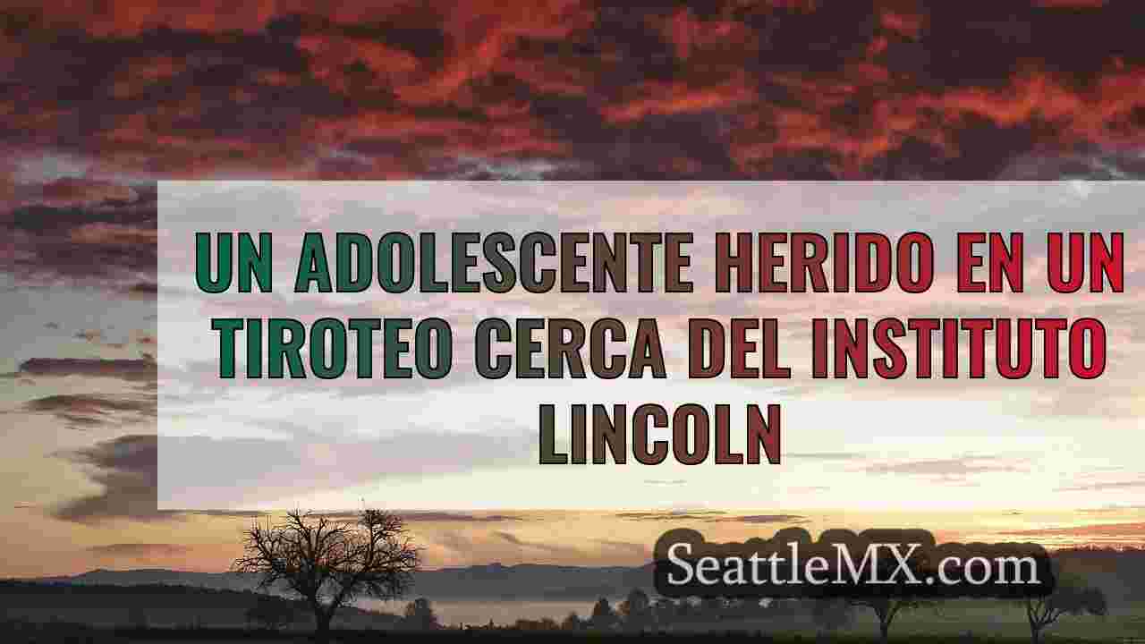 Un adolescente herido en un tiroteo