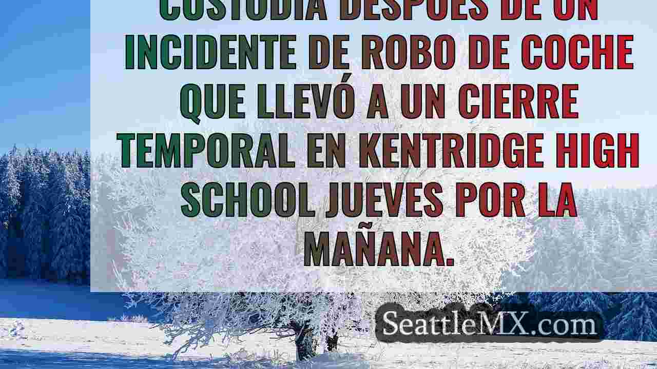 Detenido un adolescente en Washington