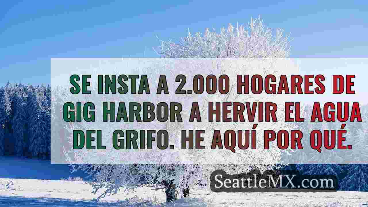 Noticias de Seattle SeattleMX