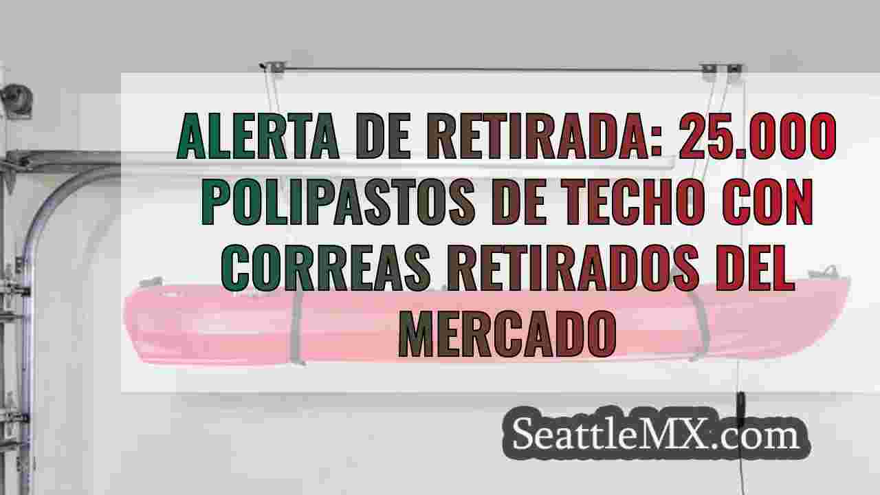 Alerta de retirada: 25.000 polipastos