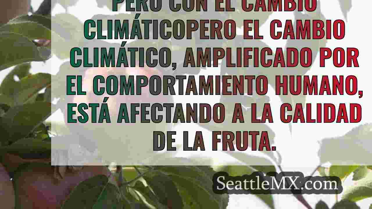 Noticias de Seattle SeattleMX