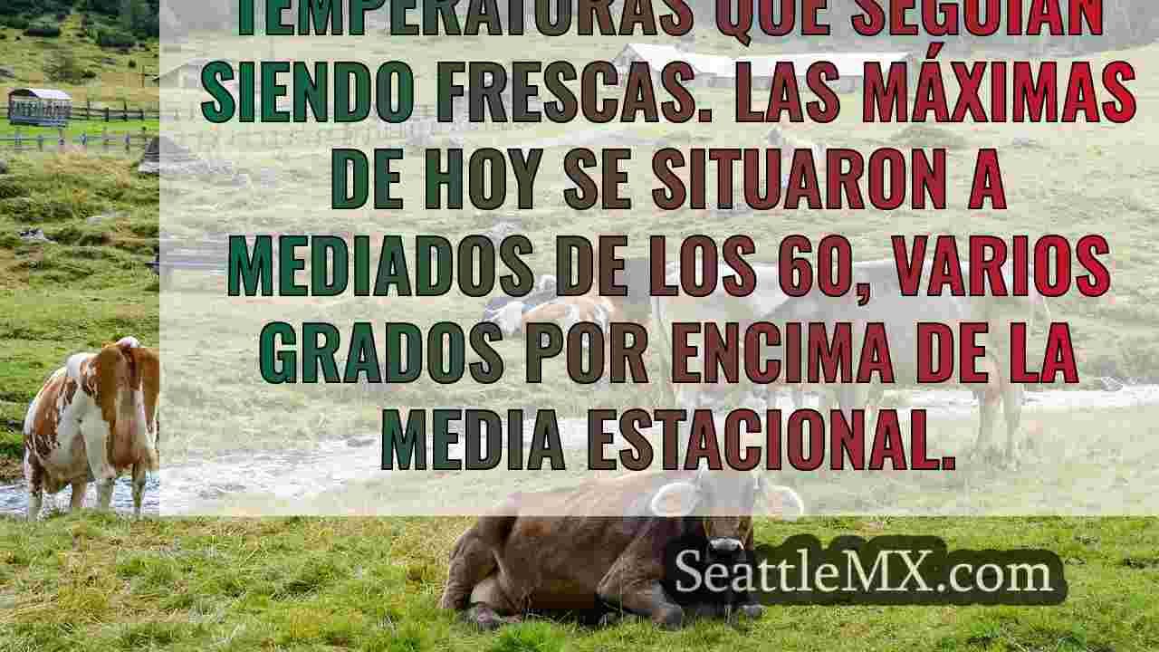 Noticias de Seattle SeattleMX