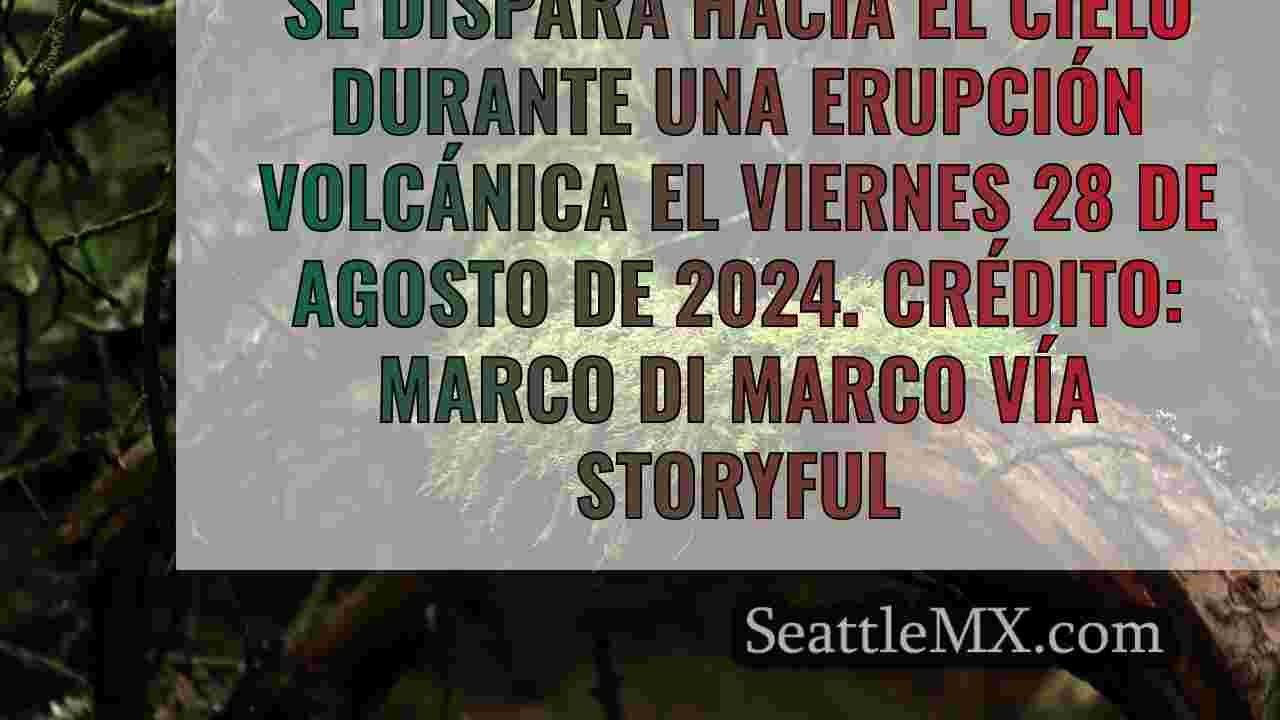 Noticias de Seattle SeattleMX