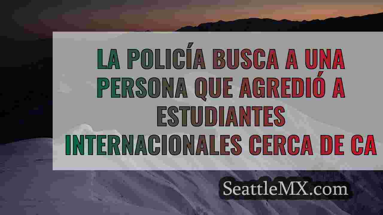 Noticias de Seattle SeattleMX