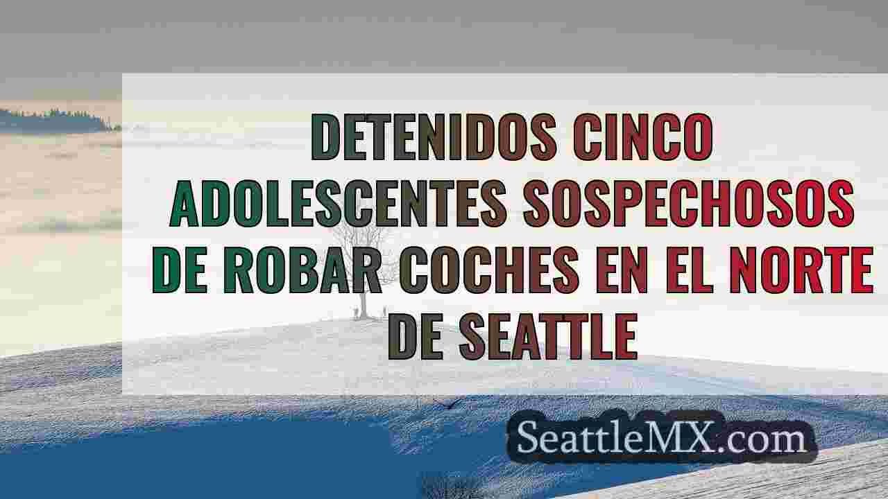 Detenidos cinco adolescentes