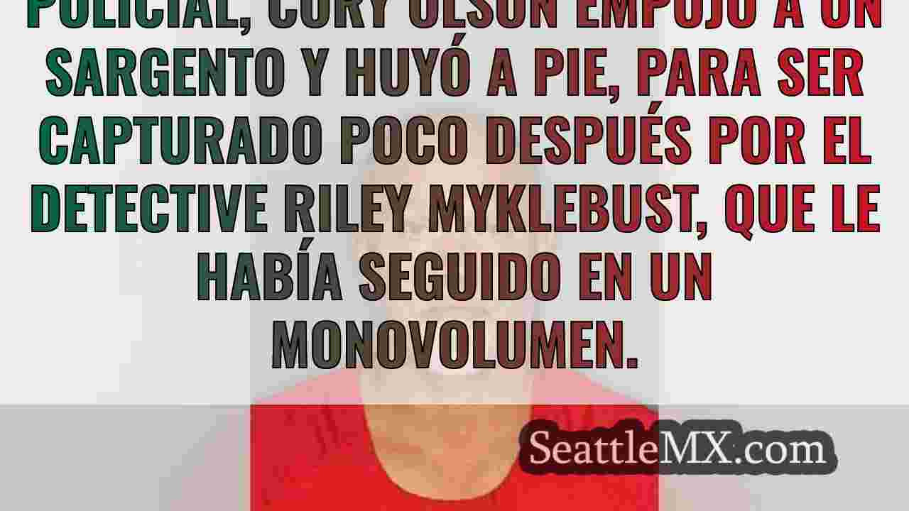 La persecución y detención de un