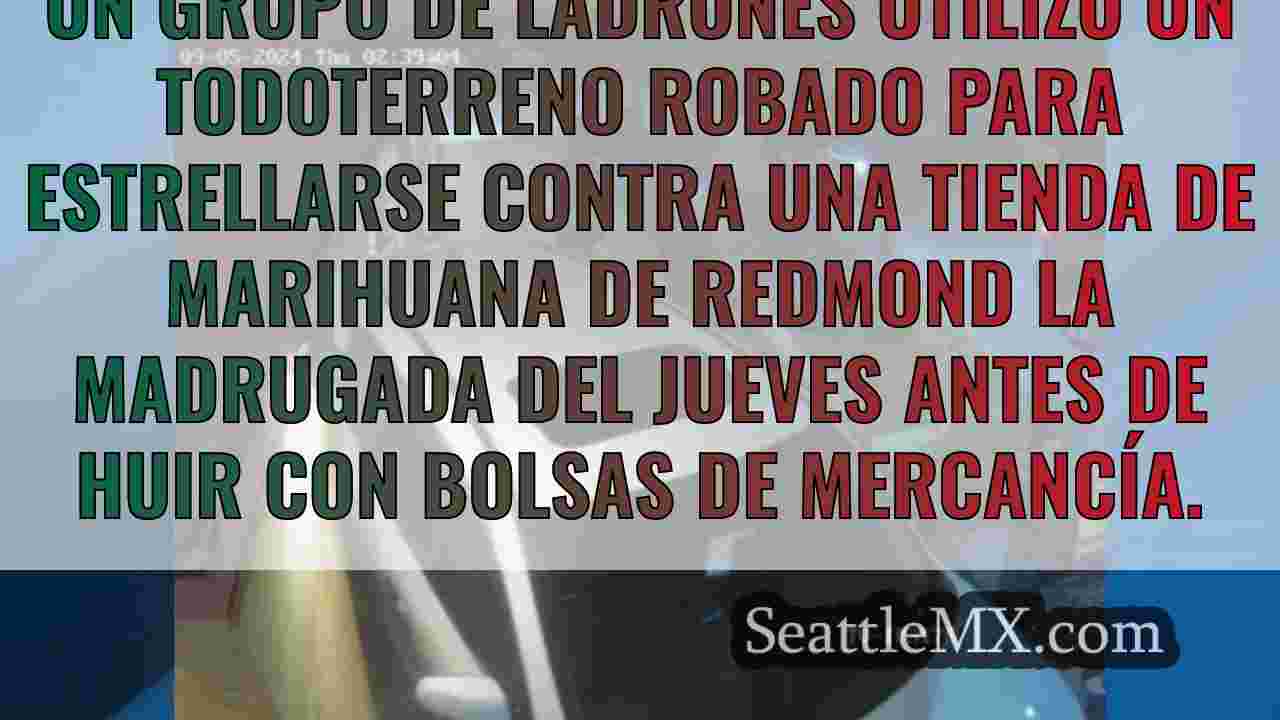 Unos ladrones estrellan un todoterreno