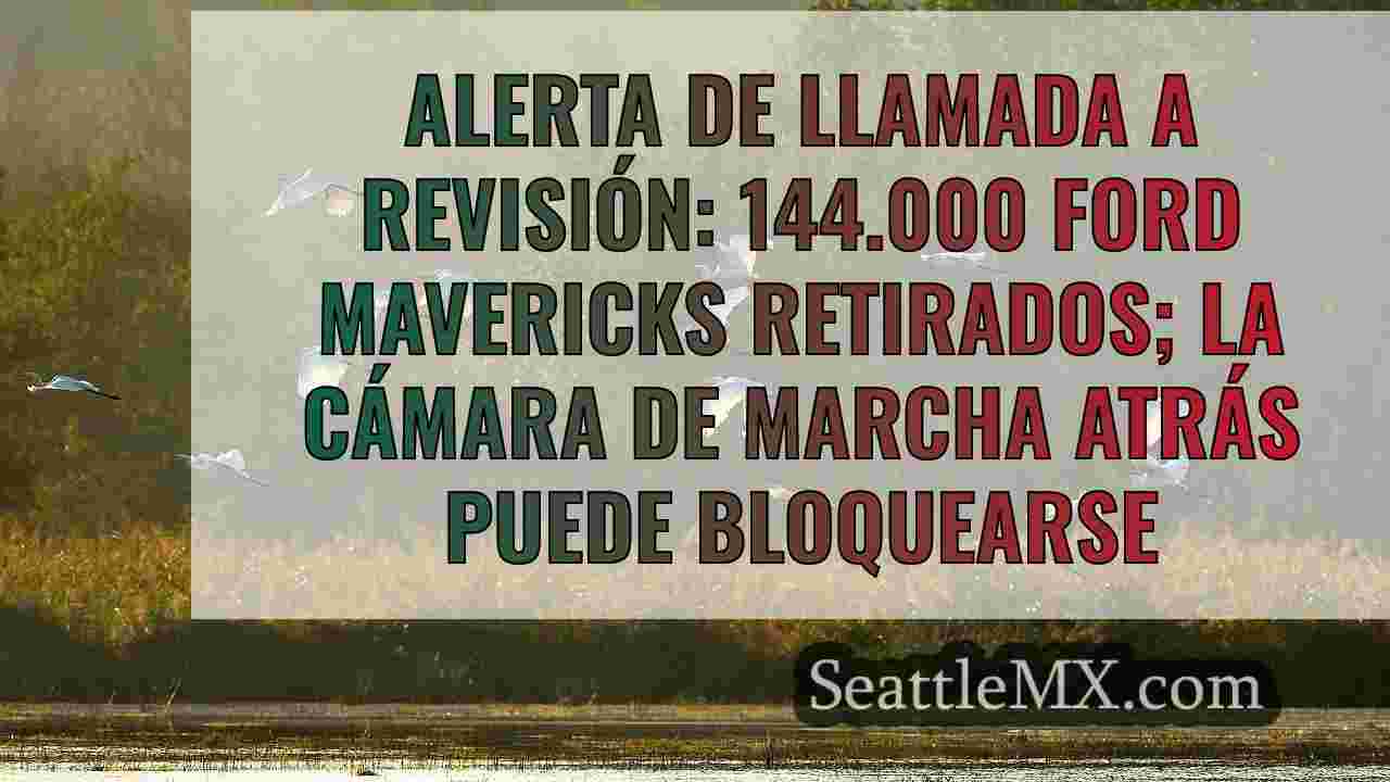 Noticias de Seattle SeattleMX
