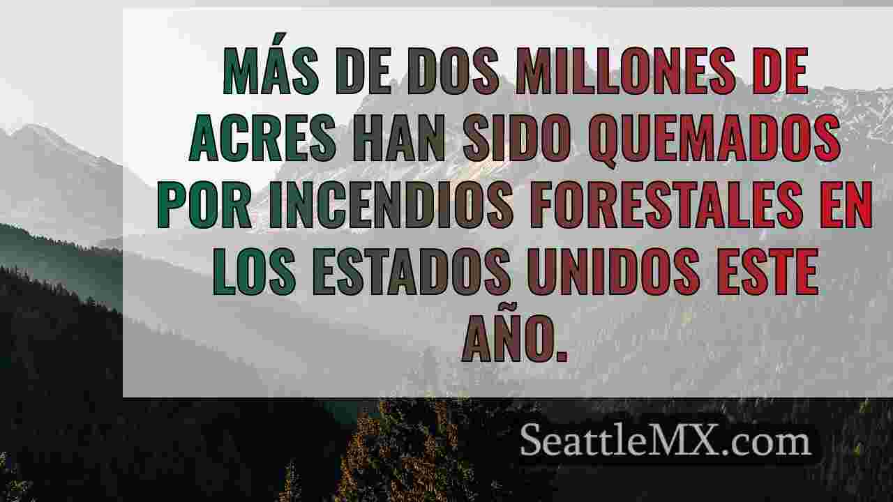 Noticias de Seattle SeattleMX