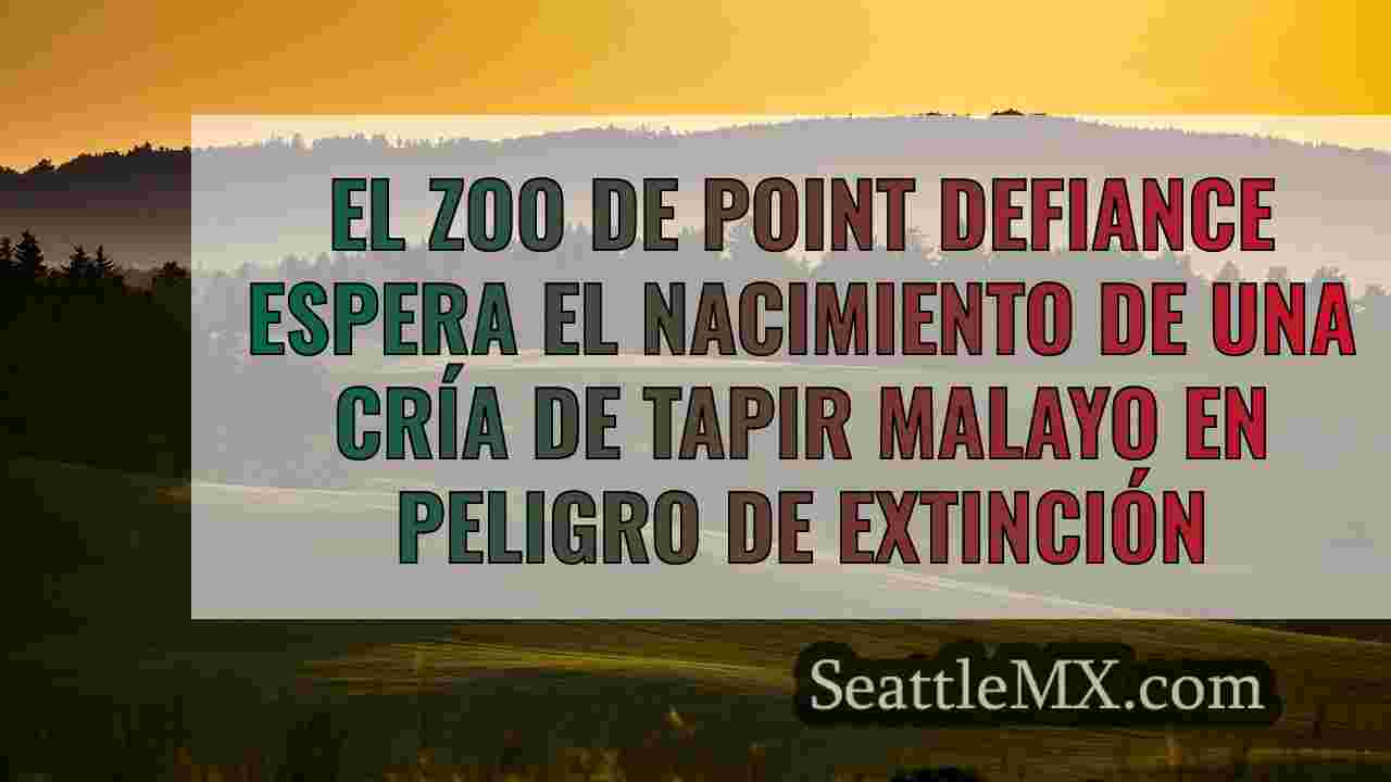 Noticias de Seattle SeattleMX