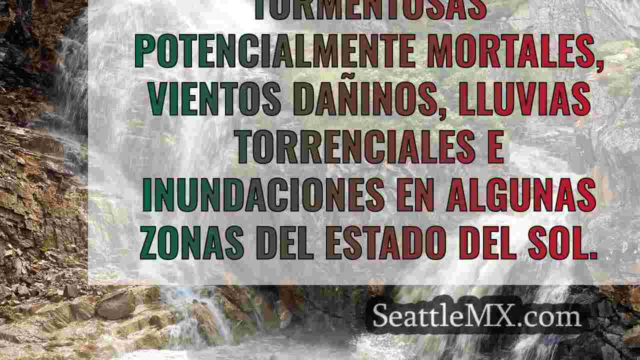 Noticias de Seattle SeattleMX