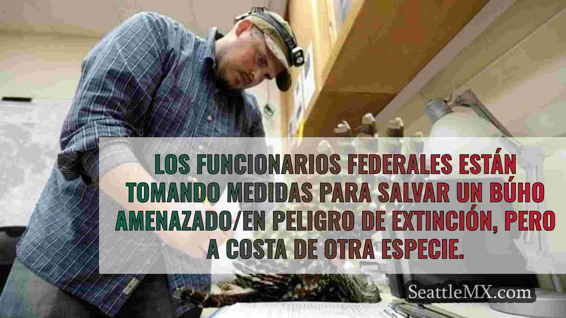 Noticias de Seattle SeattleMX