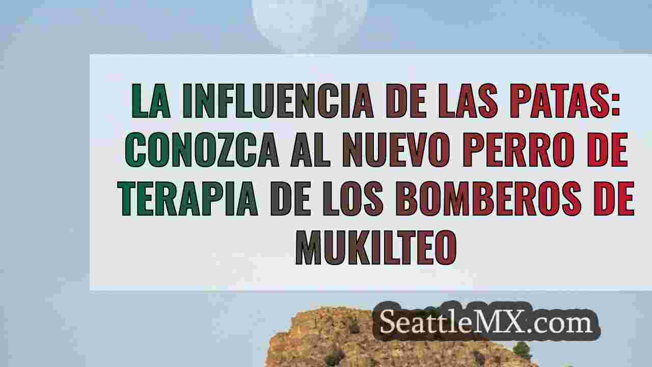 Noticias de Seattle SeattleMX