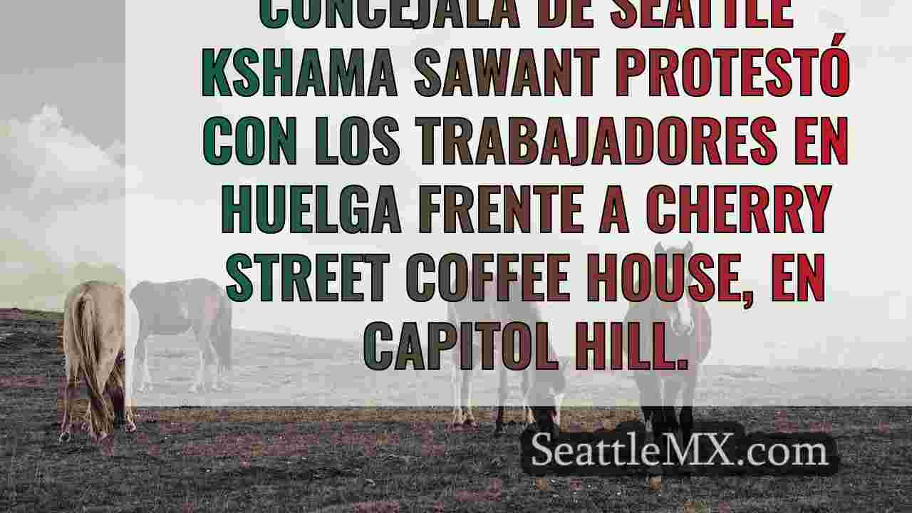 Noticias de Seattle SeattleMX