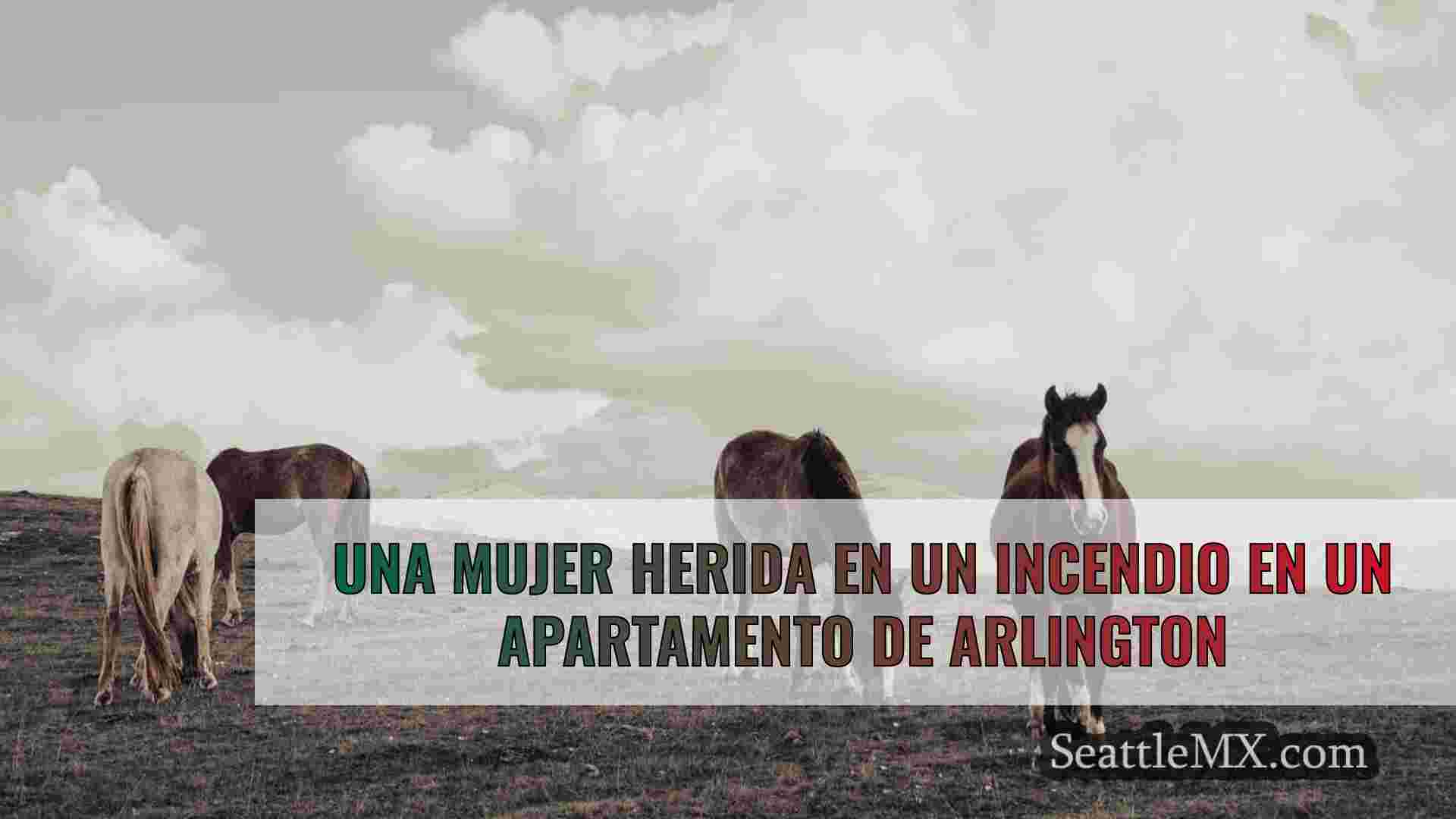 Noticias de Seattle SeattleMX