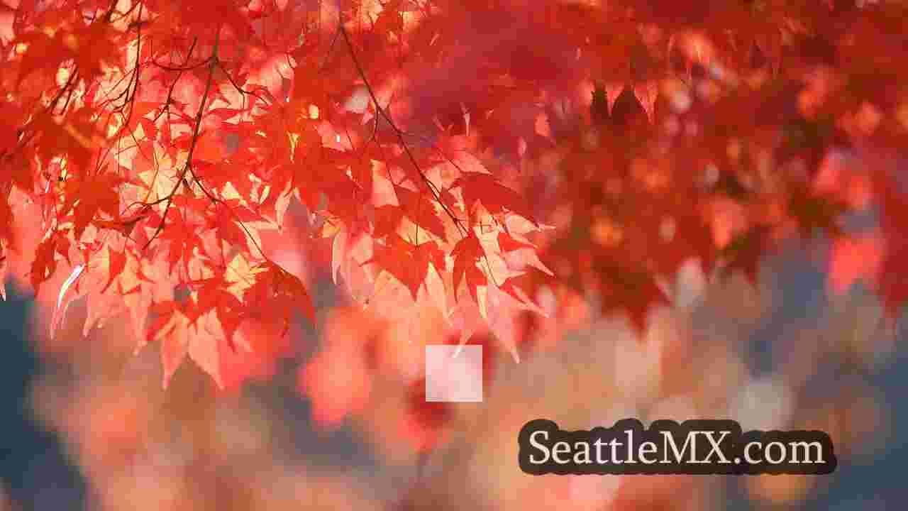 CELIMO DE LA SEATTLE: duchas del norte