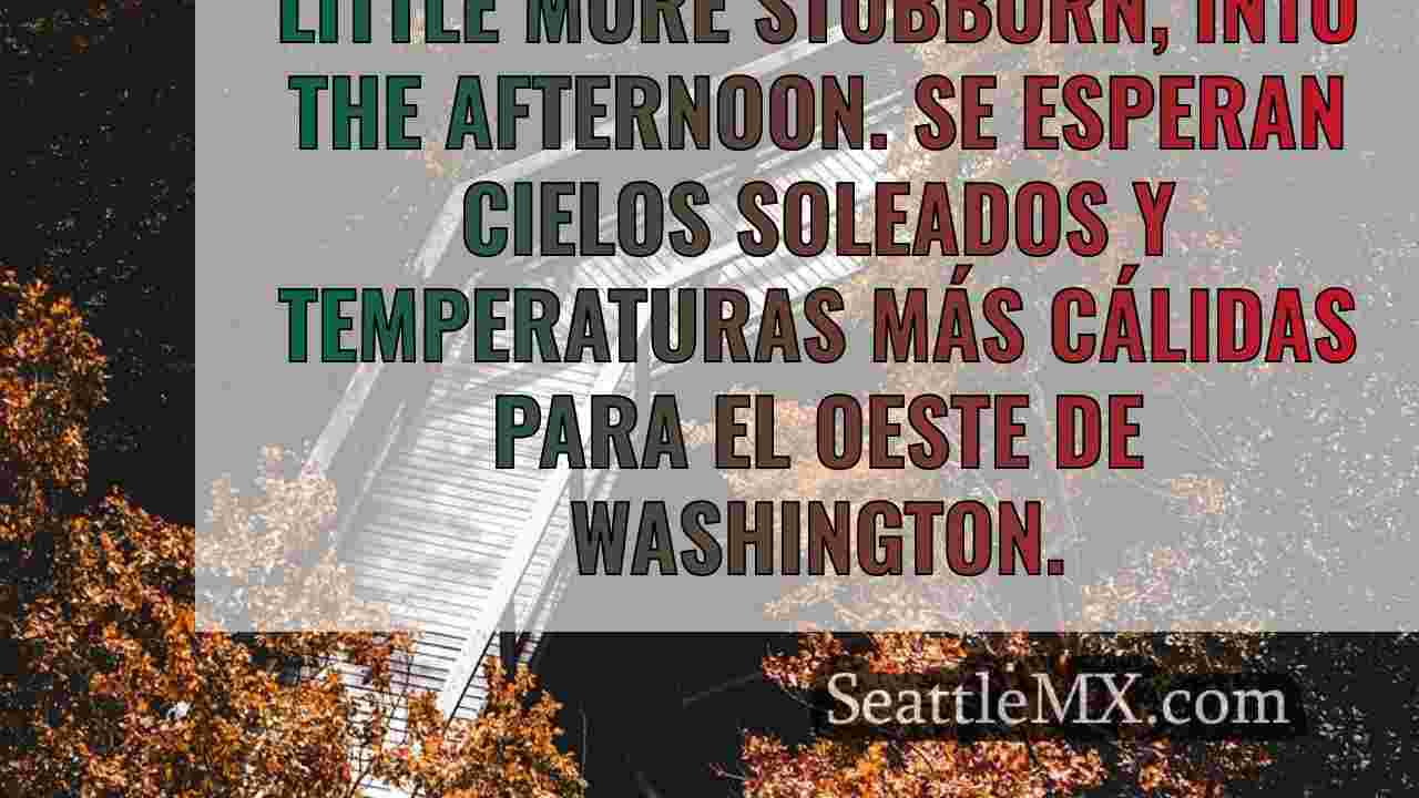 Noticias de Seattle SeattleMX
