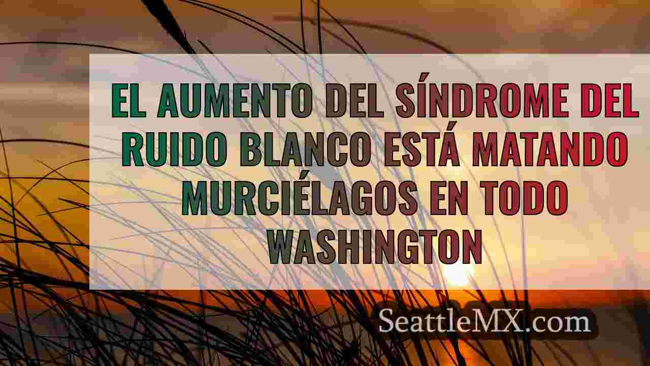 Noticias de Seattle SeattleMX